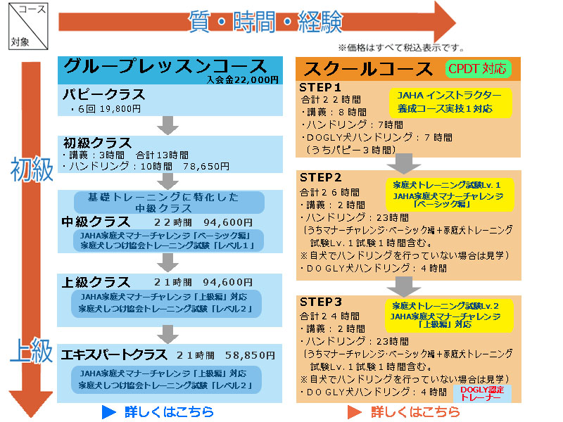 ※価格は全て税込です。
DOGLYグループレッスン-入学金２２，０００円
・パピークラス６回１８，０００円
・初級クラス講義５時間、ハンドリング７時間、合計１２時間７２，０００円
「基礎＆エンターテイメントを楽しむクラス」
・Ｋ９ゲームクラス（春のみ開催）１５時間７５，０００円
・アジリティクラス（春・夏・秋開催）８時間５６，０００円
・トリッククラス（春のみ開催）８時間５６，０００円
ＪＡＨＡ家庭犬マナーチャレンジ[ベーシック編]、家庭犬しつけ協会トレーニング試験[レベル１]対応
「基礎トレーニングに特化した中級クラス」
・オビディエンスクラス９時間６３，０００円
家庭犬しつけ協会トレーニング試験[レベル１・２]
・上級クラス８時間５６，０００円
ＪＡＨＡ家庭犬マナーチャレンジ[上級編]対応、家庭犬しつけ協会トレーニング試験[レベル２]

スクールコース
●ステップ１(たまごコース）合計４１時間
・講義６時間
・ハンドリング（講義２ハンドリング６時間）
・ＤＯＧＬＹ犬ハンドリング７時間（うちパピー３時間）
ＪＡＨＡインストラクター養成講座ＳＴＥＰ3対応
●ステップ２(ひよこコース）合計４１時間
・講義５時間
・ハンドリング（７時間：うちマナーチャレンジ１時間含む。自犬でハンドリングを行っていない場合は見学）
・ＤＯＧＬＹ犬ハンドリング１時間
ＪＡＨＡ家庭犬マナーチャレンジ対応
●ステップ３(はばたきコース)合計１８時間
・講義６時間
・ハンドリング６時間
・実技６時間
ＤＯＧＬＹ認定トレーナー
ＮＰＯ法人家庭犬しつけ協会公認ドッグトレーナー資格試験